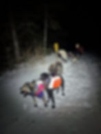 Ashley, looking back on her son, Iorek, jumping in the air while we rest on a run