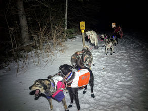 Peaks and Valleys of Off-grid Living