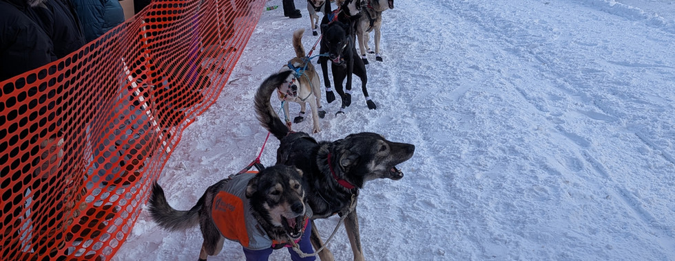 Wolf Track Classic Start