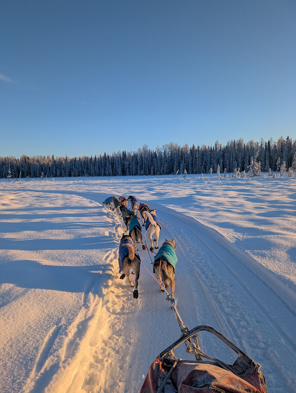 A view of our beautiful 200 mile training run