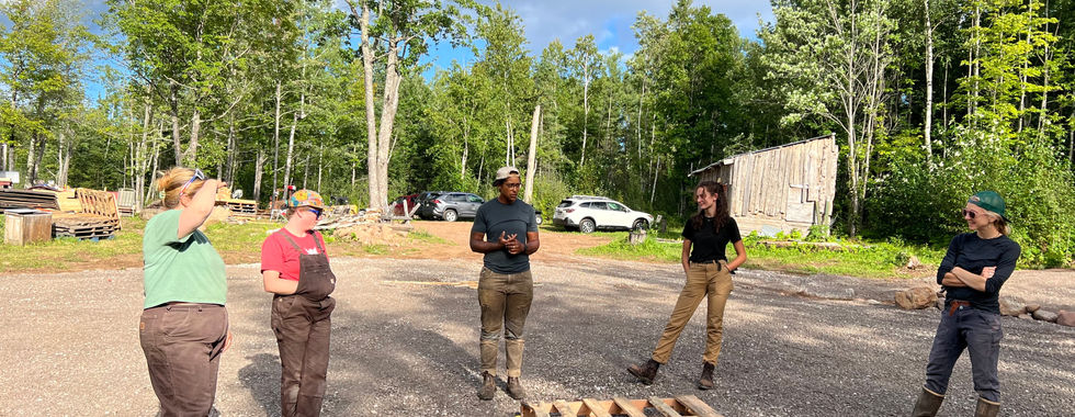 Deciding how far apart to put the dog houses