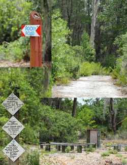 Camp Osprey Kids Camp Trails