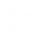 Diseño2-11.png