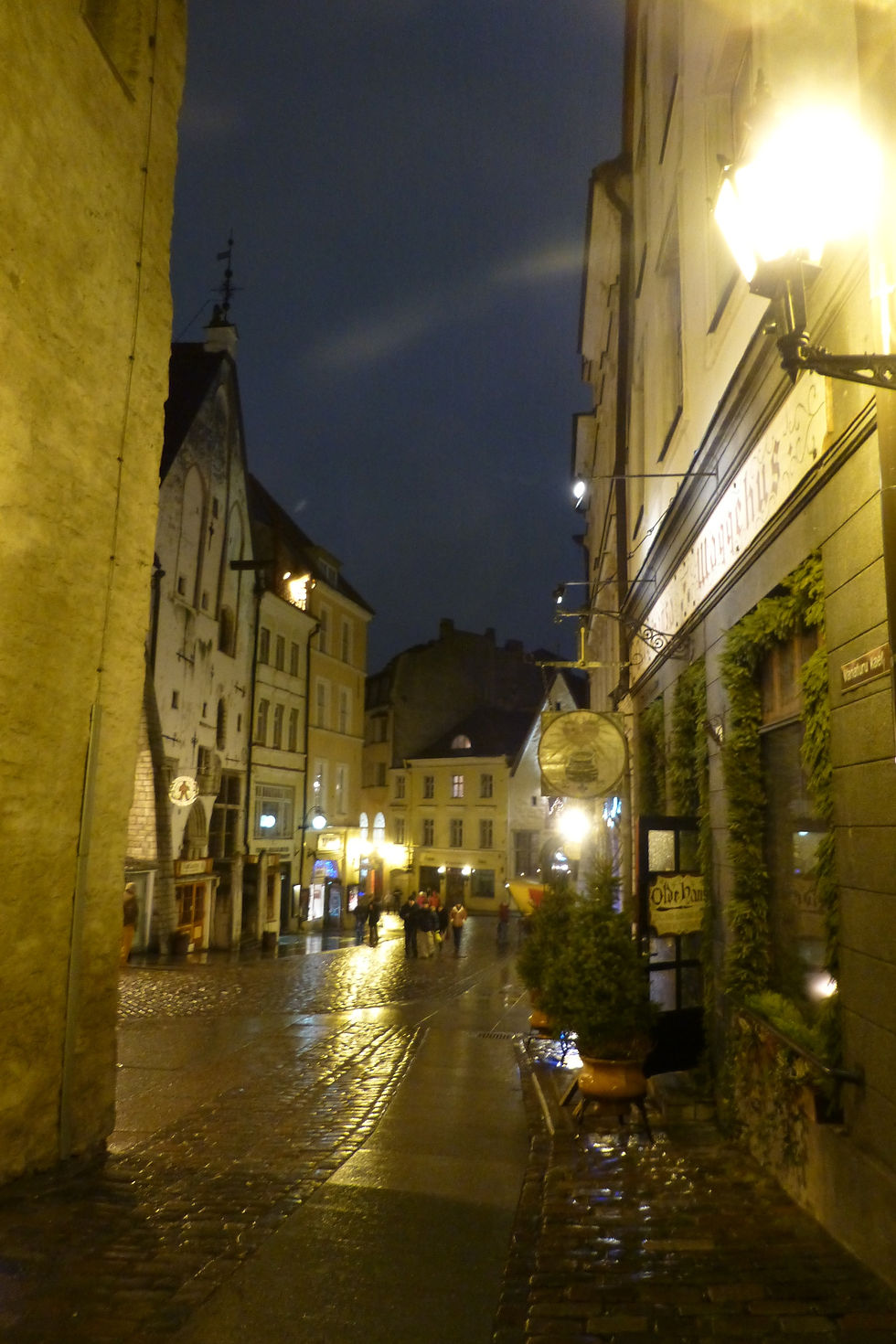 L1010980.JPG
