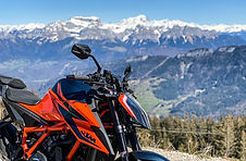 tilleuils -1 - Moyenne.jpeg