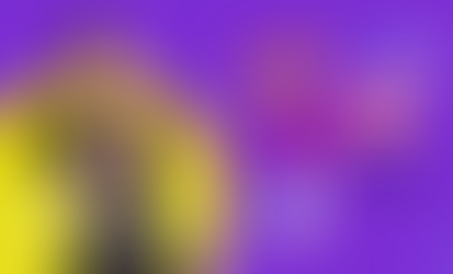 What business niches are suitable to use influencer marketing strategy via agency in China?