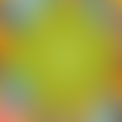 COMO TER UMA TRANSA PERFEITA COM A LUZ ACESA OU APAGADA