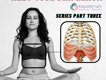MEET YOUR DIAPHRAGM: Series Part Three