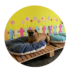 CANTINHO DO AMIGÃO (1).png