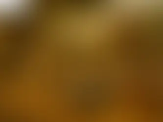 2A अंकिला मी दास तुझा - Ankila Mi Das Tujha - Class 10 - Aksharbharati