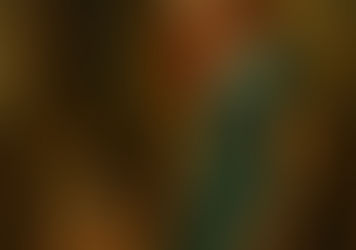  The Mirror’s Price - Avani Shetty - Std 8 - 12