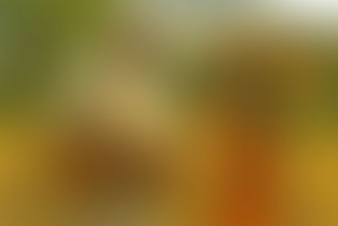 6: चुडीवाला - Class 10 - Aksharbharati