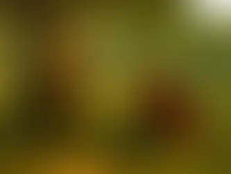 4.1  Under the Greenwood Tree - Class 7 - Balbharati