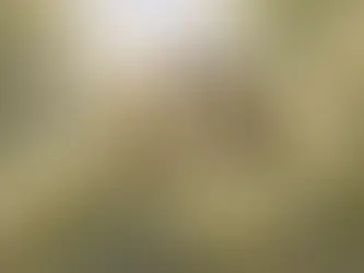 2. दो गौरैया - (Do Gauraiya)- Class 8 - Malhar