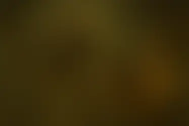  The Secret Lab Underneath - Mishra Shivam Anand - Std 4 - 7