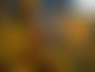 1.4. मन - Mann - Class 10 - Lokbharati