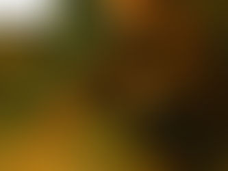 2.3 The Worm - Std 8th - Balbharati