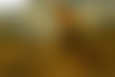 1.1 Don’t Give Up! - Class 6 - Balbharati