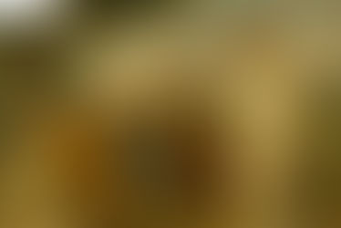 4.1: मोठे होत असलेल्यां मुलांनो... - Class 10 - Aksharbharati