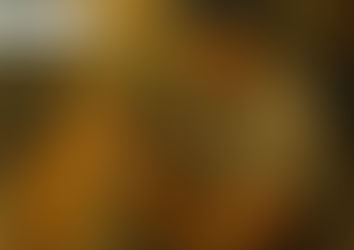 1.2  Odd One In - Std 7th - Balbharati