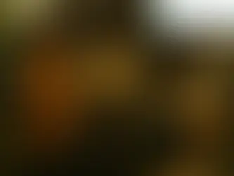 6.  The Third and Final Continent - Class 11 - Woven Word