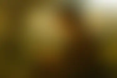  1.2. Dick Whittington and his Cat  - Std 8th - Balbharati