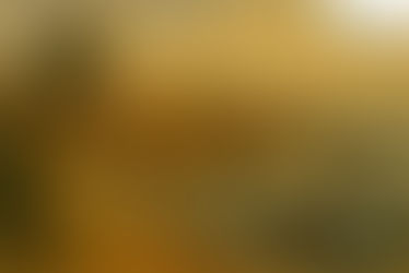 1.5. गोवा : जैसा मैंने देखा - Goa: Jaisa Maine Dekha - Class 10 - Lokbharati