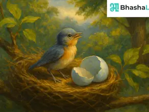 3.1 What A Bird Thought - Class 6 - Poorvi