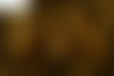 2. श्यामचे बंधुप्रेम -  Shyamche Bandhuprem - Class 7 - Sulabhbharati