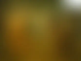 4 - अमूल्यं कमलम् - The Priceless Lotus - Class 10 - Amod