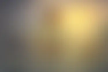 1.6. रंग माझा वेगळा - Rang Mazha Vegla - Class 11 -Yuvakbharati