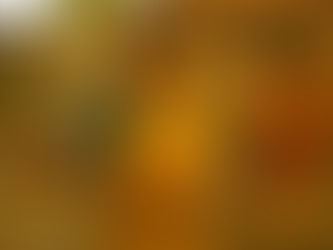 13.1 - आजि सोनियाचा दिवस - Aji Soniyacha Divas - Class 8 - Sugambharati 2 - Marathi Notes