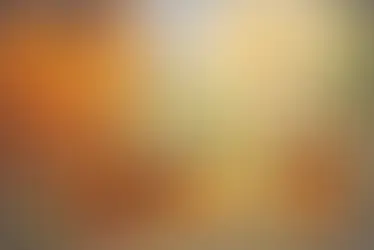 2.1. विंचू चावला... - Vinchu Chavla... - Class 11 -Yuvakbharati