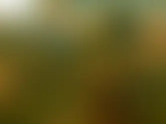 4.3 World Heritage - Class 10 - Kumarbharati