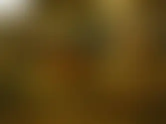 2 - The Test of a Friend in Adversity - व्यसने मित्रपरीक्षा - Class 10 - Amod