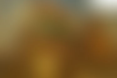 2.11 -  स्वतंत्रता गान - Swatantrata Gaan  - Class 9 - Lokbharati