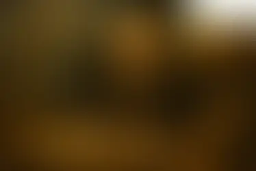 4.3 Intellectual Rubbish - Std 9 - Kumarbharati