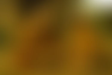  4  विध्यर्थमाला - Garland of Precepts (Potential Mood) - Class 9 - Amod