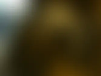 1.  The Lament - Class 11 - Woven Words