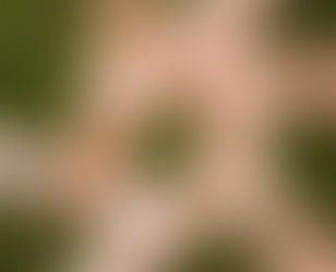 Le Défi Énergie du Grand Annecy : bilan de la démarche et résultats