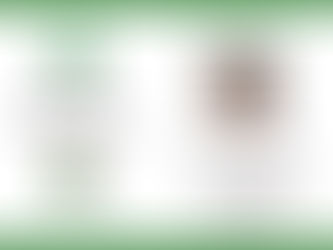 Financer l’immobilier tertiaire durable