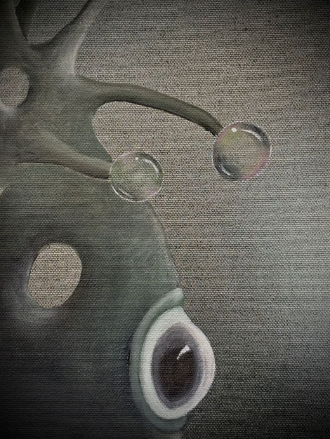 Detail from Deep Sea Vanitas