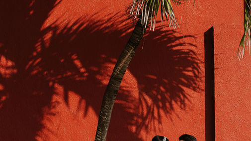 BODA HARD ROCK RIVIERA MAYA