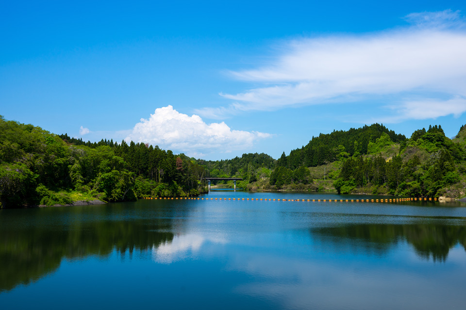 初夏の惣の関ダム湖