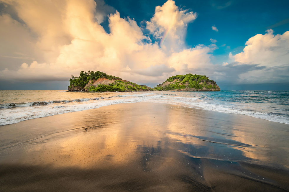 Plage Martinique les salines