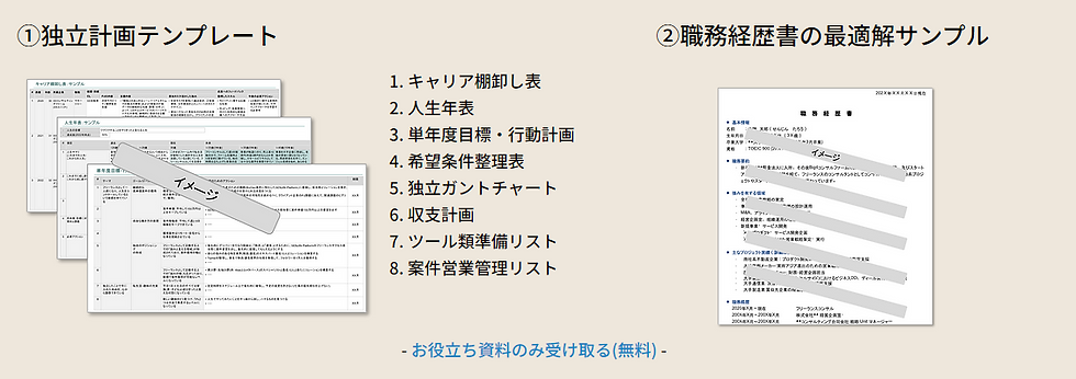 フリーランスコンサル 職務経歴書