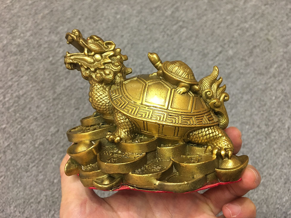 縮圖：帶子龍龜 ( 大 ) ( 已在寺廟開光 )