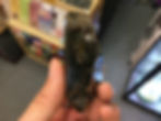 Thumbnail: Green Phantom Quartz Rough 