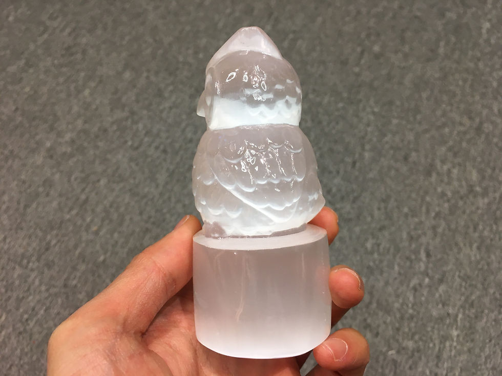Thumbnail: Gypsum Owl