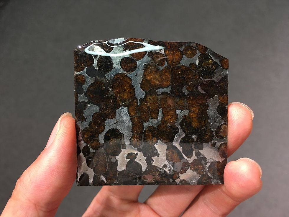 Thumbnail: Sericho Pallasite Meteorite ( 1 )